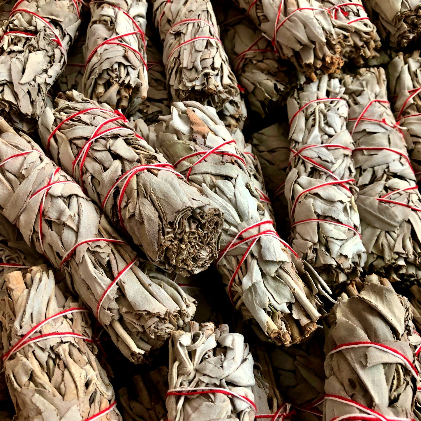 White Sage Smudge Sticks (4")