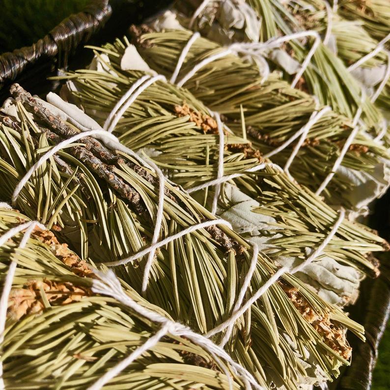 White Sage with Pine Smudge Sticks (4")