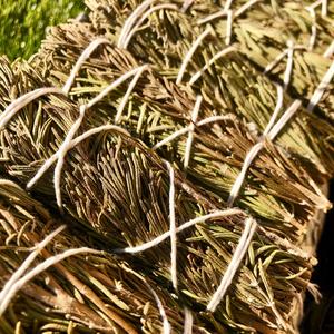 Premium White Sage with Rosemary Smudge Sticks USDA Organic & Grown in California (4")